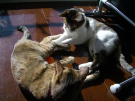 IMGP12826.jpg