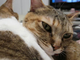 IMG00635.jpg