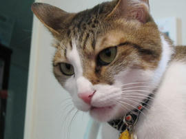 IMG00651.jpg