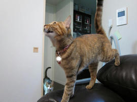 IMG00661.jpg