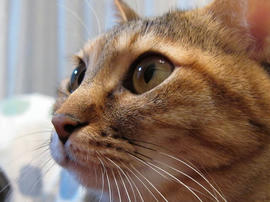 IMG00644.jpg