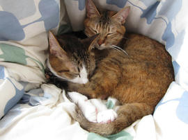 IMG04095.jpg