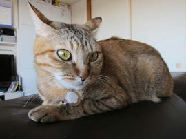IMG00671.jpg