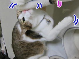 IMG04104.jpg
