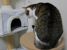 IMG04117.jpg