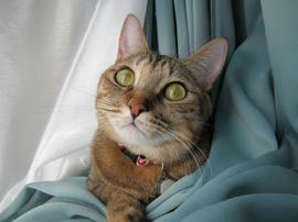IMG00676.jpg