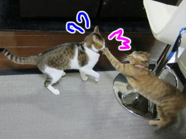 IMG04122.jpg