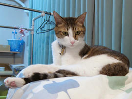 IMG00699.jpg