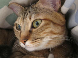 IMG00709.jpg