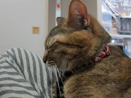 IMG04125.jpg
