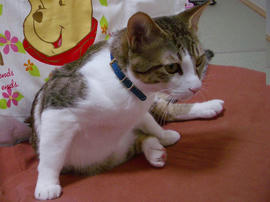 IMGP9609.jpg