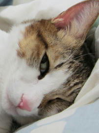IMG04128.jpg