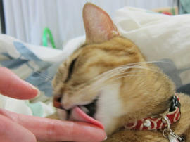IMG04129.jpg