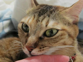 IMG04132.jpg
