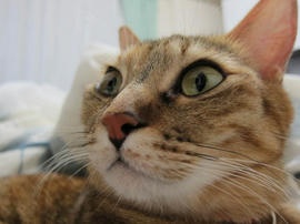 IMG04136.jpg