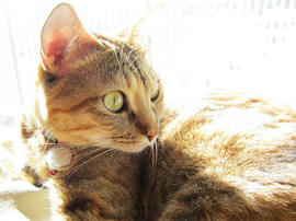 IMG00724.jpg