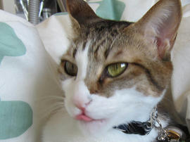 IMG00726.jpg