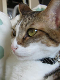 IMG00727.jpg