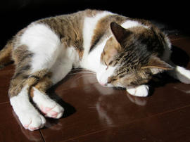 IMG00728.jpg