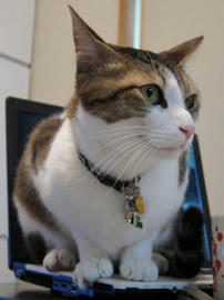 IMG00744.jpg