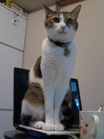 IMG00745.jpg