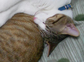 IMGP9691.jpg