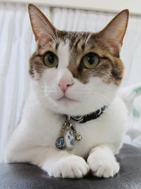 IMG04139.jpg