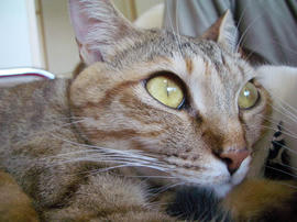 IMGP12888.jpg