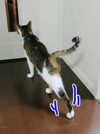 IMG04140.jpg