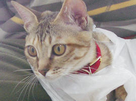 IMGP9723.jpg