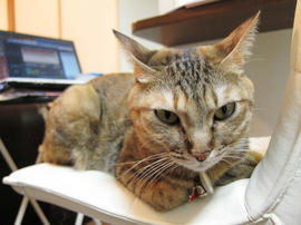 IMG00776.jpg