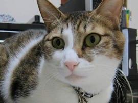 IMG04143.jpg