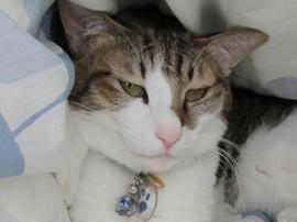 IMG04144.jpg