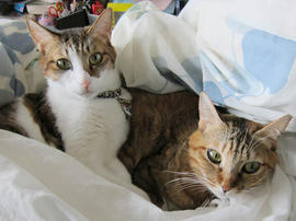 IMG04147.jpg