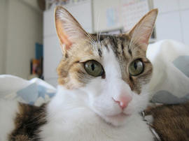 IMG04148.jpg
