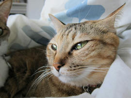 IMG04150.jpg