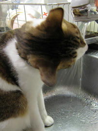 IMG00808.jpg