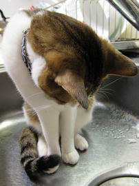 IMG00810.jpg