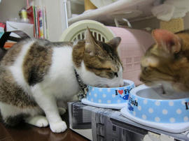 IMG04151.jpg