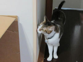 IMG04156.jpg