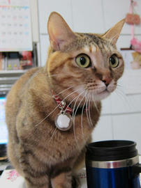 IMG04158.jpg