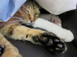 IMG04161.jpg