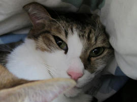 IMG04163.jpg