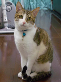 IMGP9806.jpg