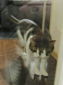 IMG04164.jpg