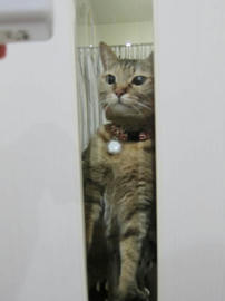 IMG04169.jpg