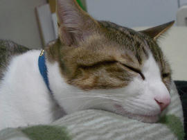 IMGP9827.jpg