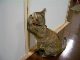 IMGP9873.jpg