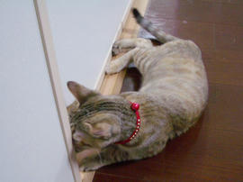 IMGP9882.jpg