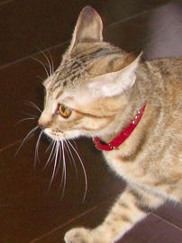IMGP9887.jpg